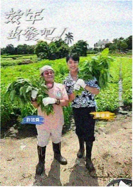 纪录片样本封面，海岸观潮台与旁白长句字幕排版